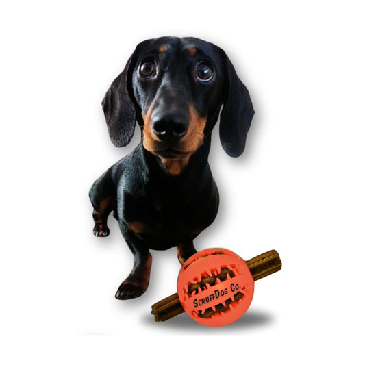 The ScruffDog Co. Treat Dispenser Dog Toy Ball (Small, Orange)