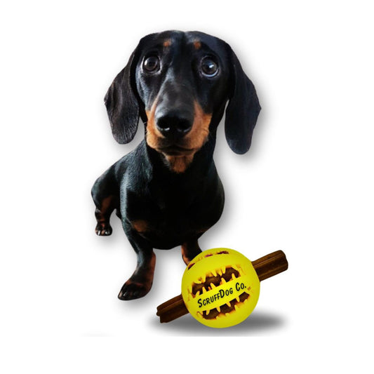 The ScruffDog Co. Treat Dispenser Dog Toy Ball (Small, Yellow)