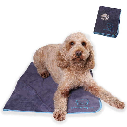 Dog Towel/Blanket with Air Freshener (Grey/Blue)