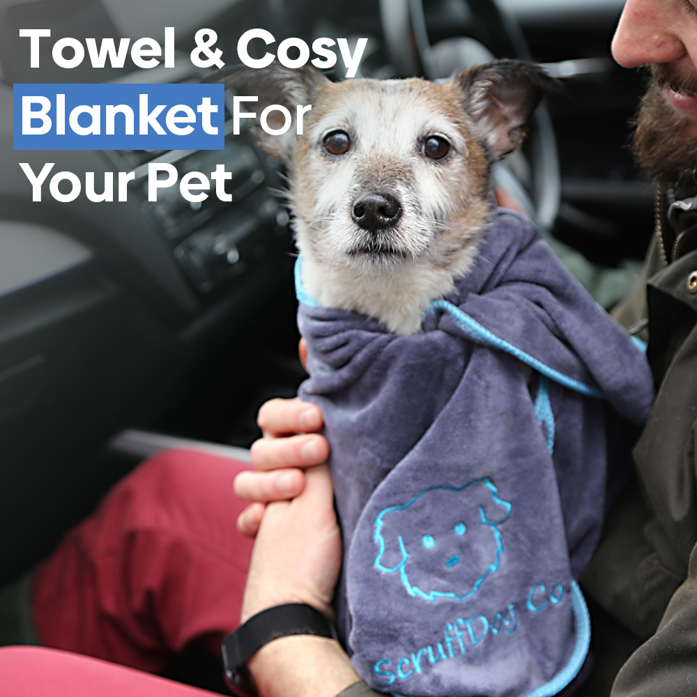 Dog Towel/Blanket with Air Freshener (Grey/Blue)